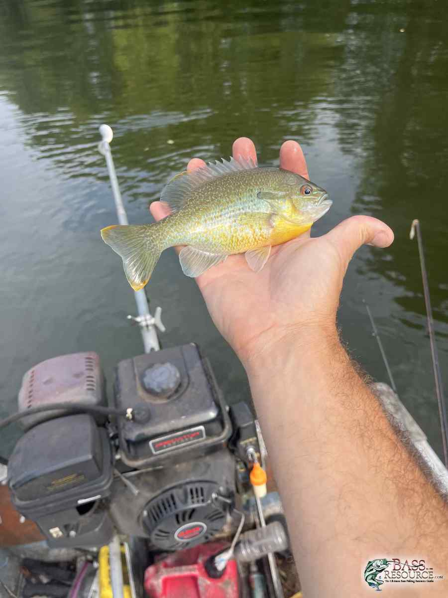large.IMG_3953.jpeg