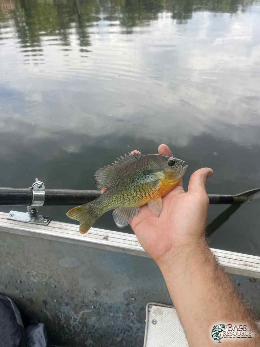large.IMG_3963.jpeg