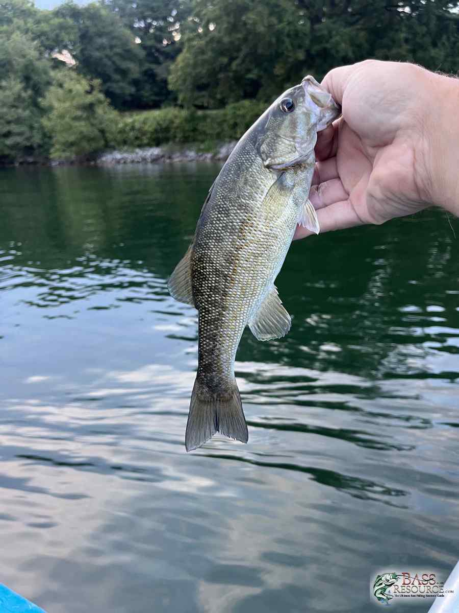 large.IMG_4142.jpeg