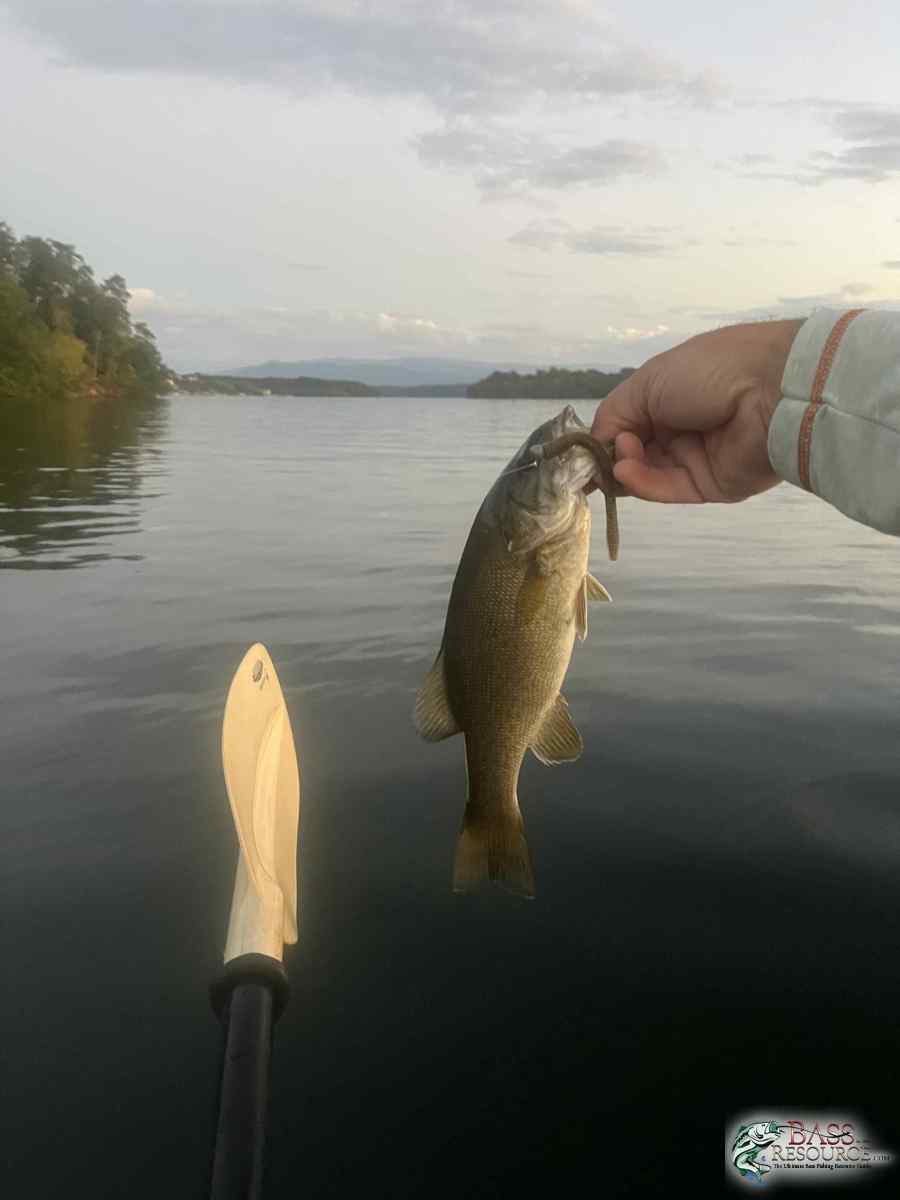 large.IMG_4327.jpeg