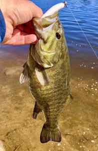 IMG_2272.jpeg