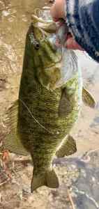 IMG_2359.jpeg