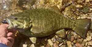 IMG_2459.jpeg
