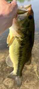 IMG_2688.jpeg