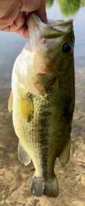 IMG_2693.jpeg