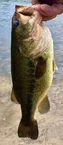 IMG_2764.jpeg