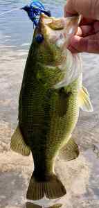 IMG_2790.jpeg