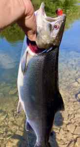 IMG_3439.jpeg