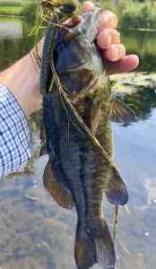 IMG_3489.jpeg