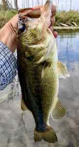 IMG_3507.jpeg