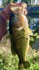 IMG_3533.jpeg