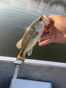 IMG_3922.jpeg