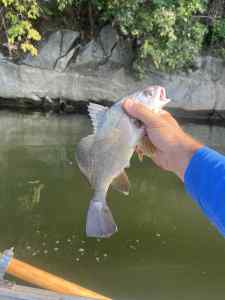 IMG_3934.jpeg