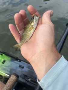 IMG_3950.jpeg