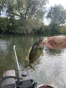 IMG_3954.jpeg