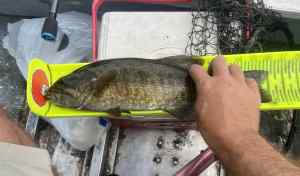 IMG_3960.jpeg