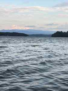 IMG_4138.jpeg