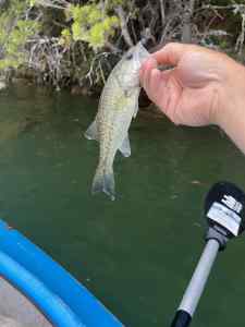 IMG_4140.jpeg