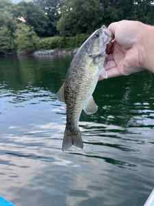 IMG_4142.jpeg