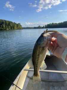 IMG_4310.jpeg