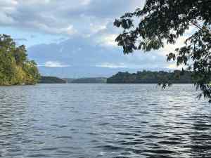 IMG_4313.jpeg
