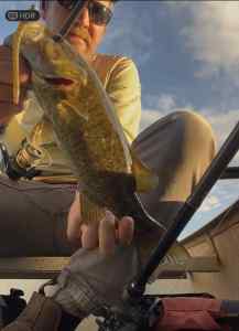 IMG_4321.jpeg