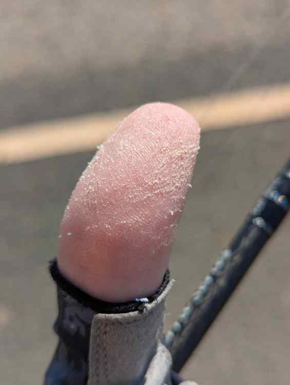 thumb.jpg.e1700e32d154ae89a893090d7531f3db.jpg