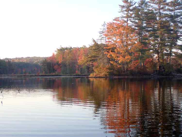 PA060013.JPG.581c3e88c6848e3f997ea244f53ebd92.JPG
