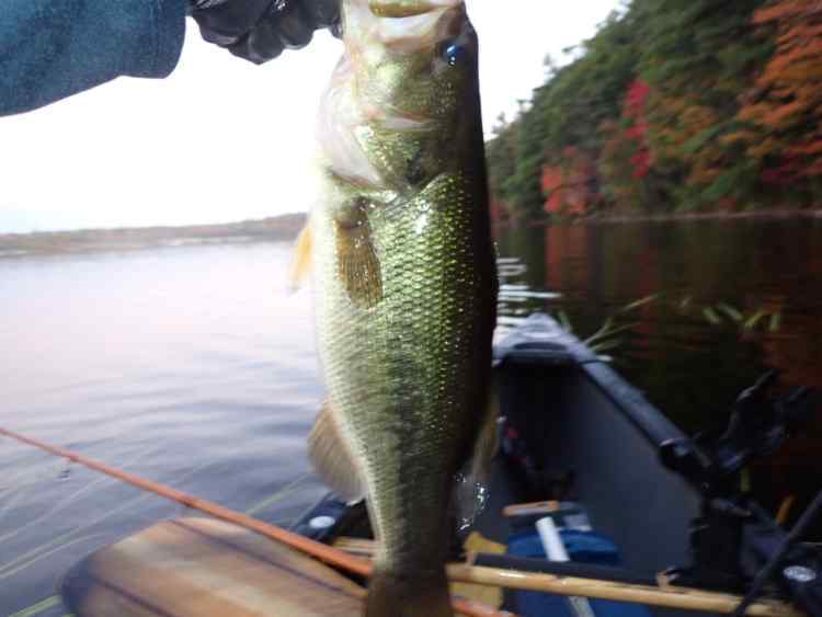 PA070002.JPG.fb4e1cc84b2205e03e4c9239ef58aa05.JPG