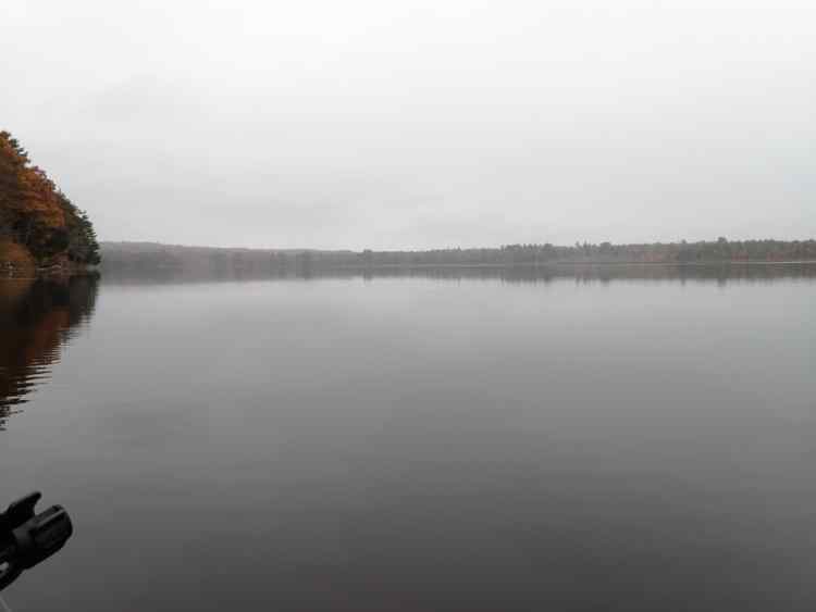 PA300011.JPG.3ed07345e83be121f729daa36e8e03da.JPG