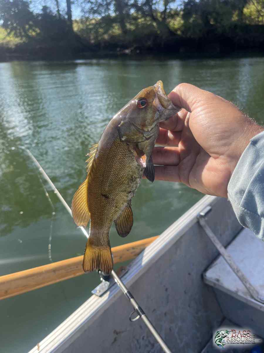 large.IMG_4522.jpeg