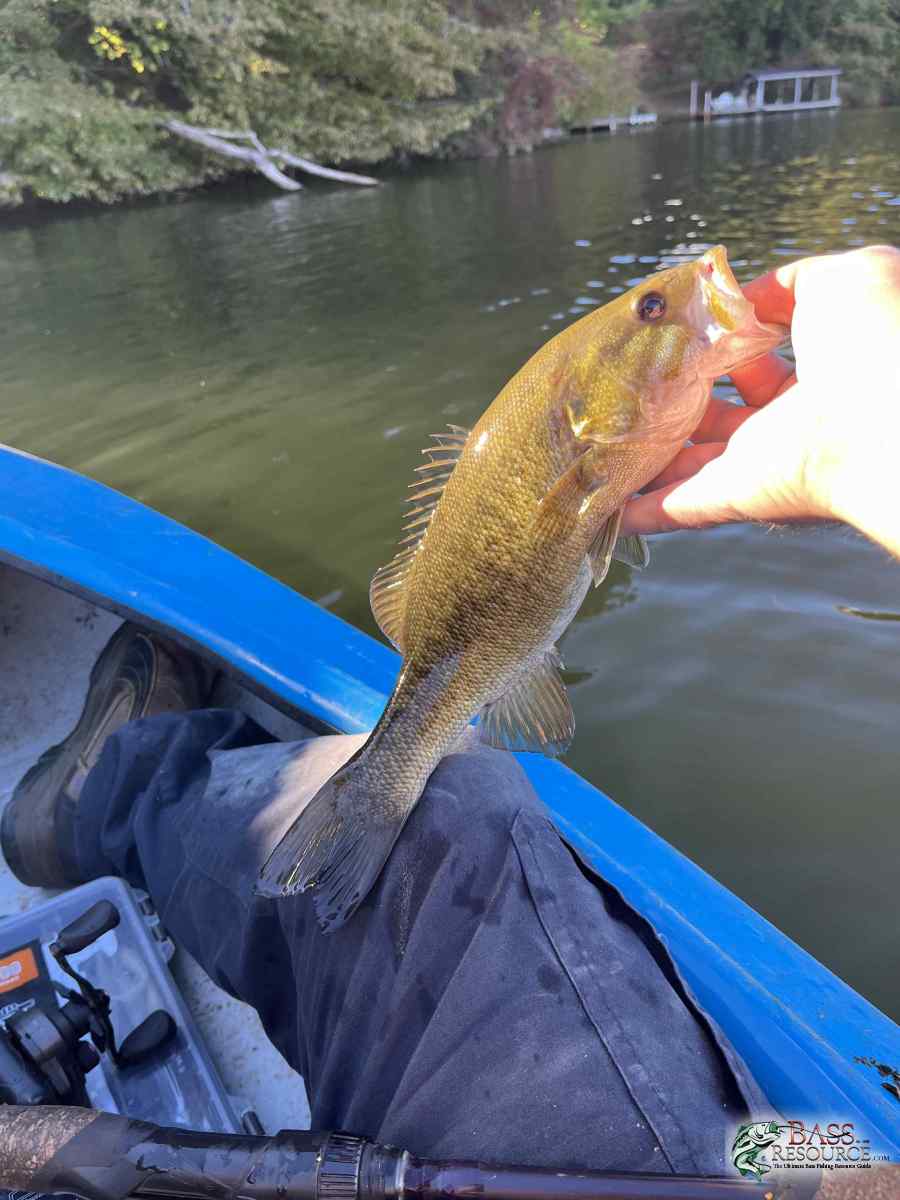 large.IMG_4565.jpeg