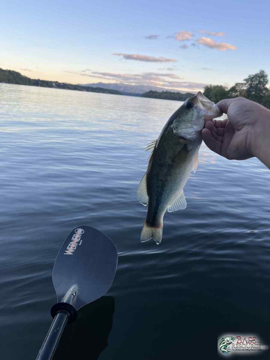 large.IMG_4590.jpeg