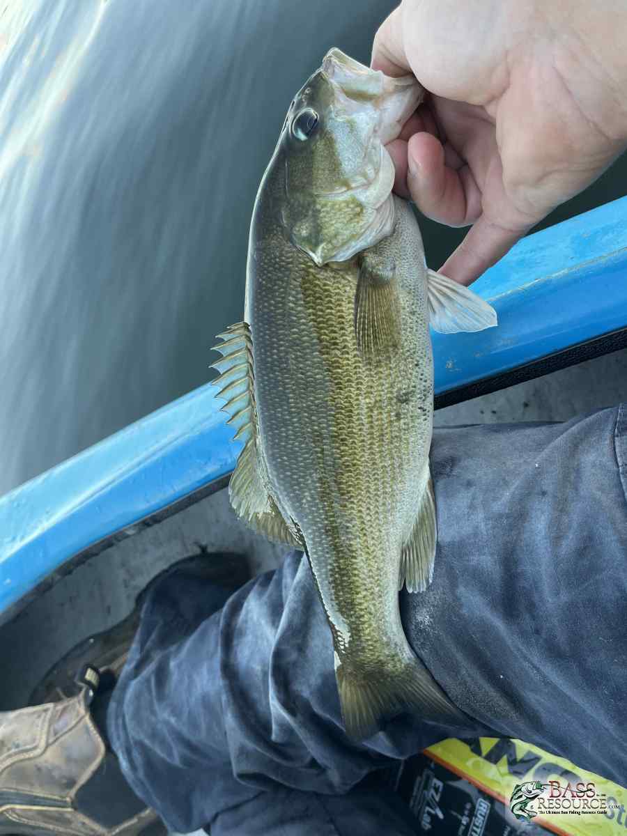 large.IMG_4592.jpeg