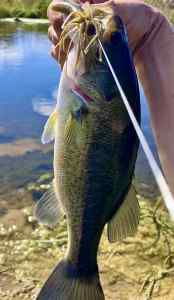 IMG_3548.jpeg