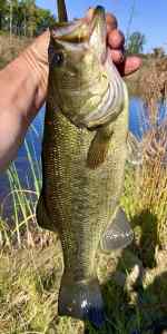 IMG_3557.jpeg
