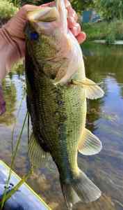 IMG_3580.jpeg