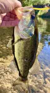 IMG_3592.jpeg