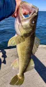 IMG_3656.jpeg