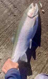 IMG_3663.jpeg