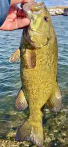 IMG_3715.jpeg