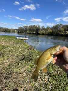 IMG_4519.jpeg