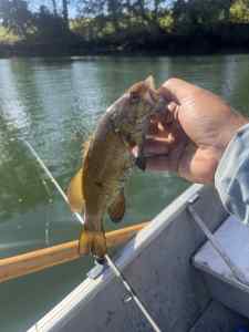 IMG_4522.jpeg