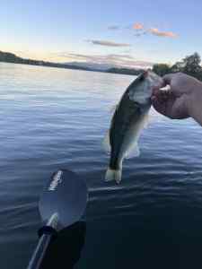 IMG_4590.jpeg
