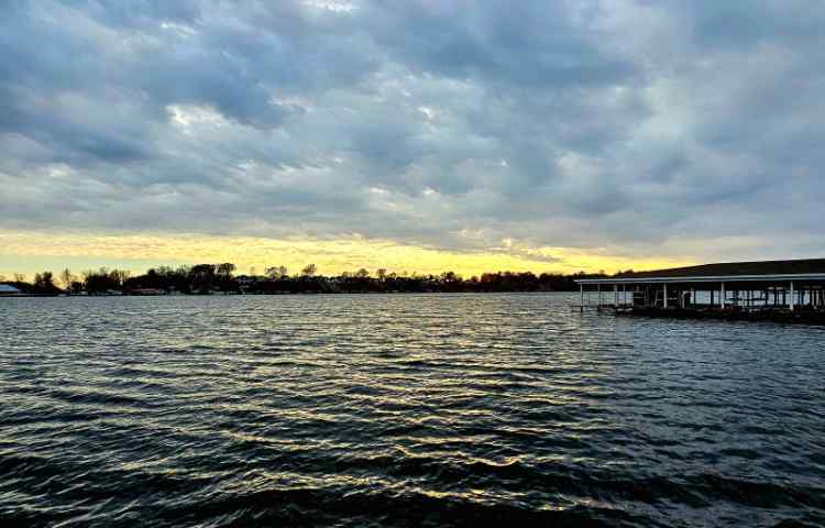 20251115_161616.jpg.275c67e626b66af9862dc136d3b39847.jpg