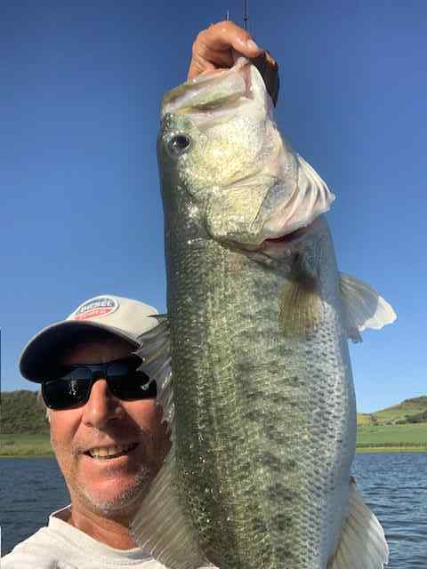 74poundbassNovember2025.jpg.85cd8484328dd99551dc02d2d453f900.jpg