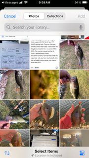 IMG_5439.png.aea052e1fd47b8461e460376c7ec201c.png