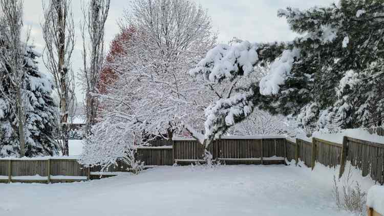 WELP.jpg.fa740640f2305d8a1ac7afff1f1f6c16.jpg