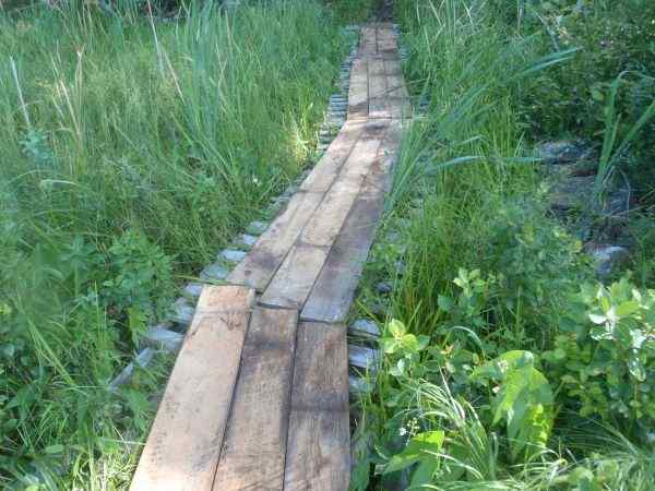 boardwalk.jpg.061b7ffe0ab3bf8787debd513d661c76.jpg