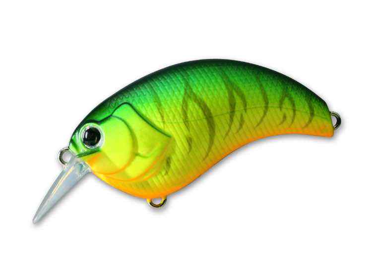 deps_EVOKE_06-Hot-Tiger.jpg.ec2cae640fd9c051017e3bd8bbfd8b40.jpg